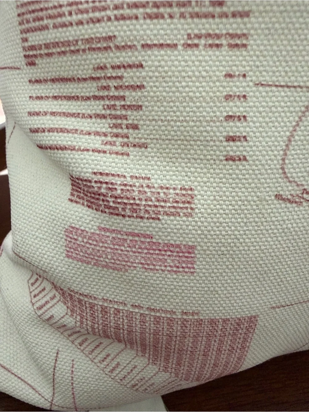 Map Print Decorative Pillow - Pink and Cream
